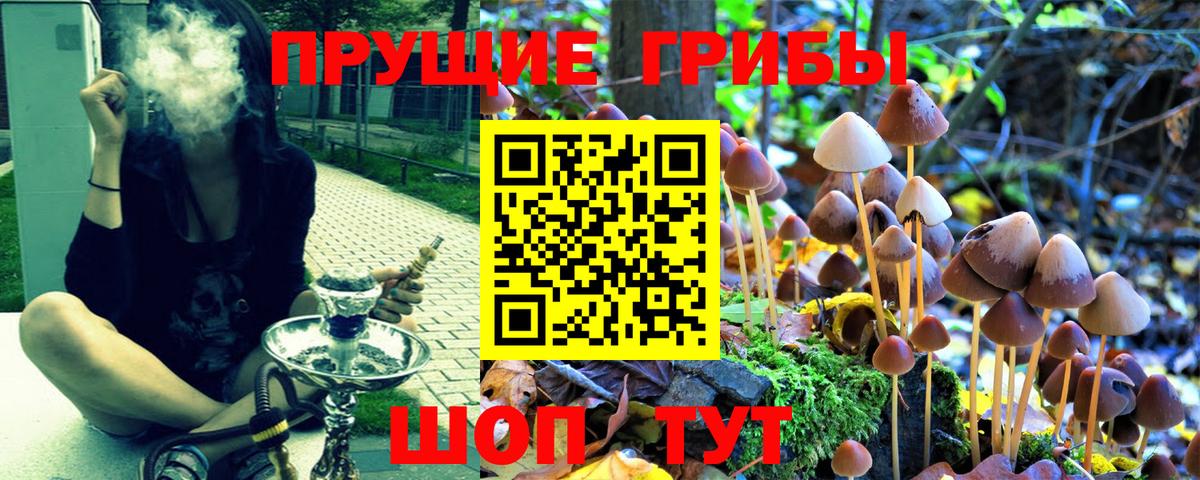 Псилоцибиновые грибы прущие грибы  Вход с VPN  Галлюциногенные грибы ЛСД  Миасс 