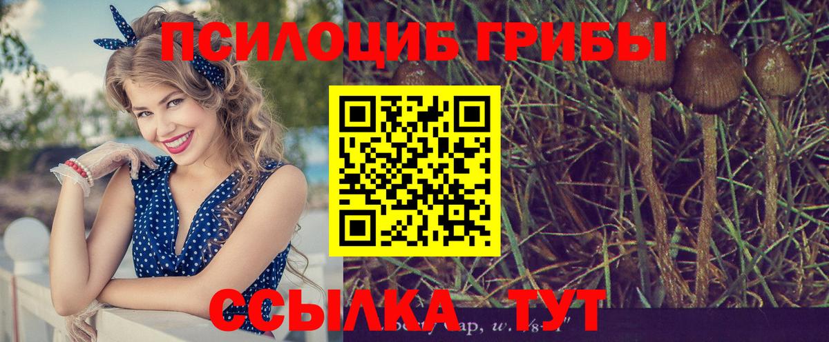 Миасс  МАРИХУАНА  Вход с VPN  Меф МЯУ МЯУ   Кокаин  МЕТ 